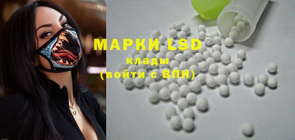 спиды Новозыбков