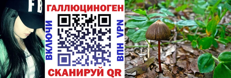Псилоцибиновые грибы мицелий  Хадыженск 